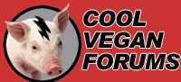 Cool Vegan Discussion Forums Forum Index